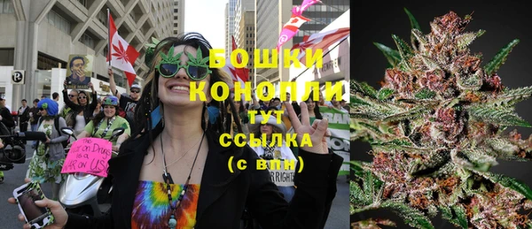 шишки Бугульма