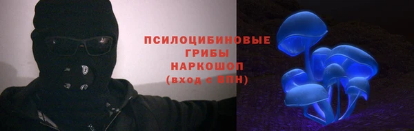 дурь Бронницы