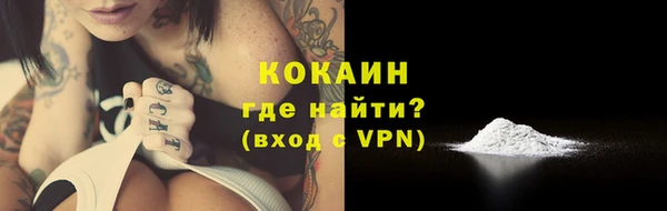 дурь Бронницы