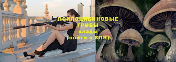 тгк Богородск