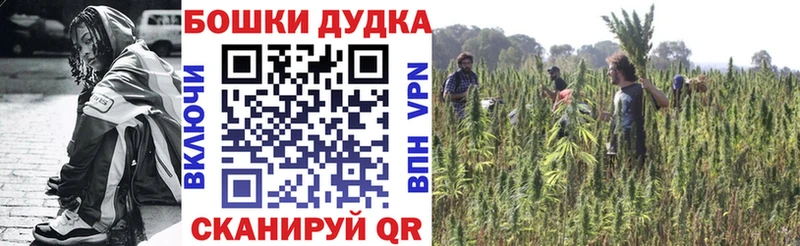 Купить где Маркс Шишки марихуана сатива